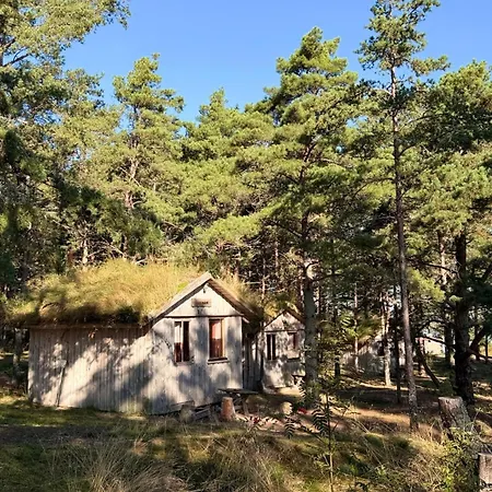 Uelesaare Kaemping Kelnase
