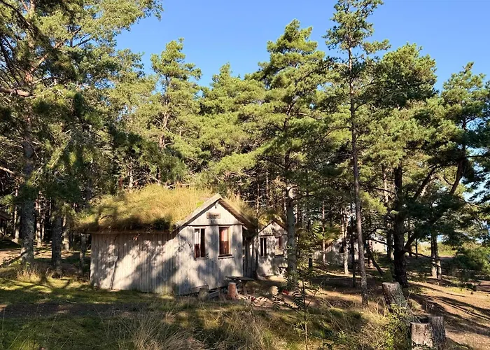 Uelesaare Kaemping Kelnase