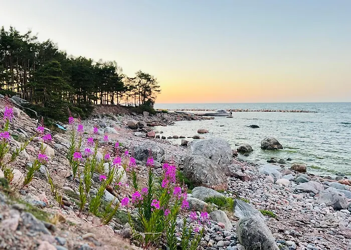 Campeggio Uelesaare Kaemping *